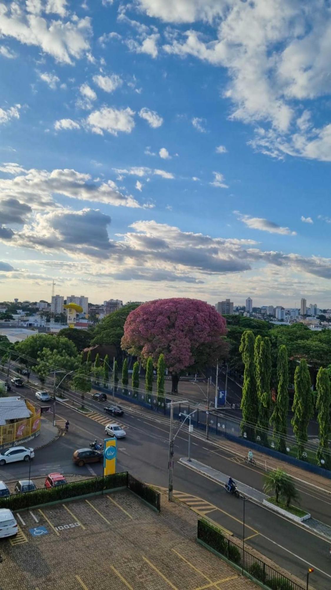 Hotel Golden Park Uberaba Bilik gambar